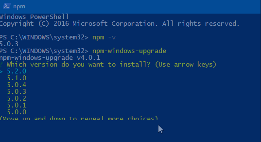 Mettre à Jour npm PowerShell 2